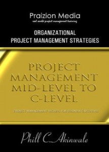 organizational project management strategies