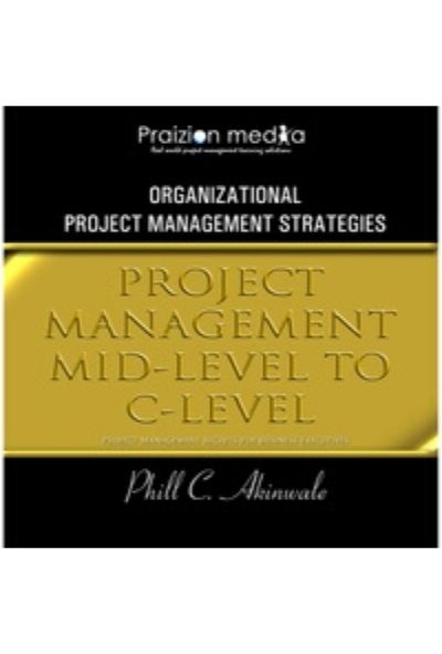Project Management Mid-Level to C-Level